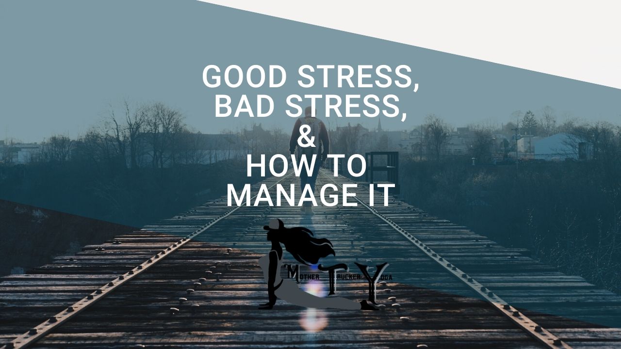 good stess bad stress blog post MTY